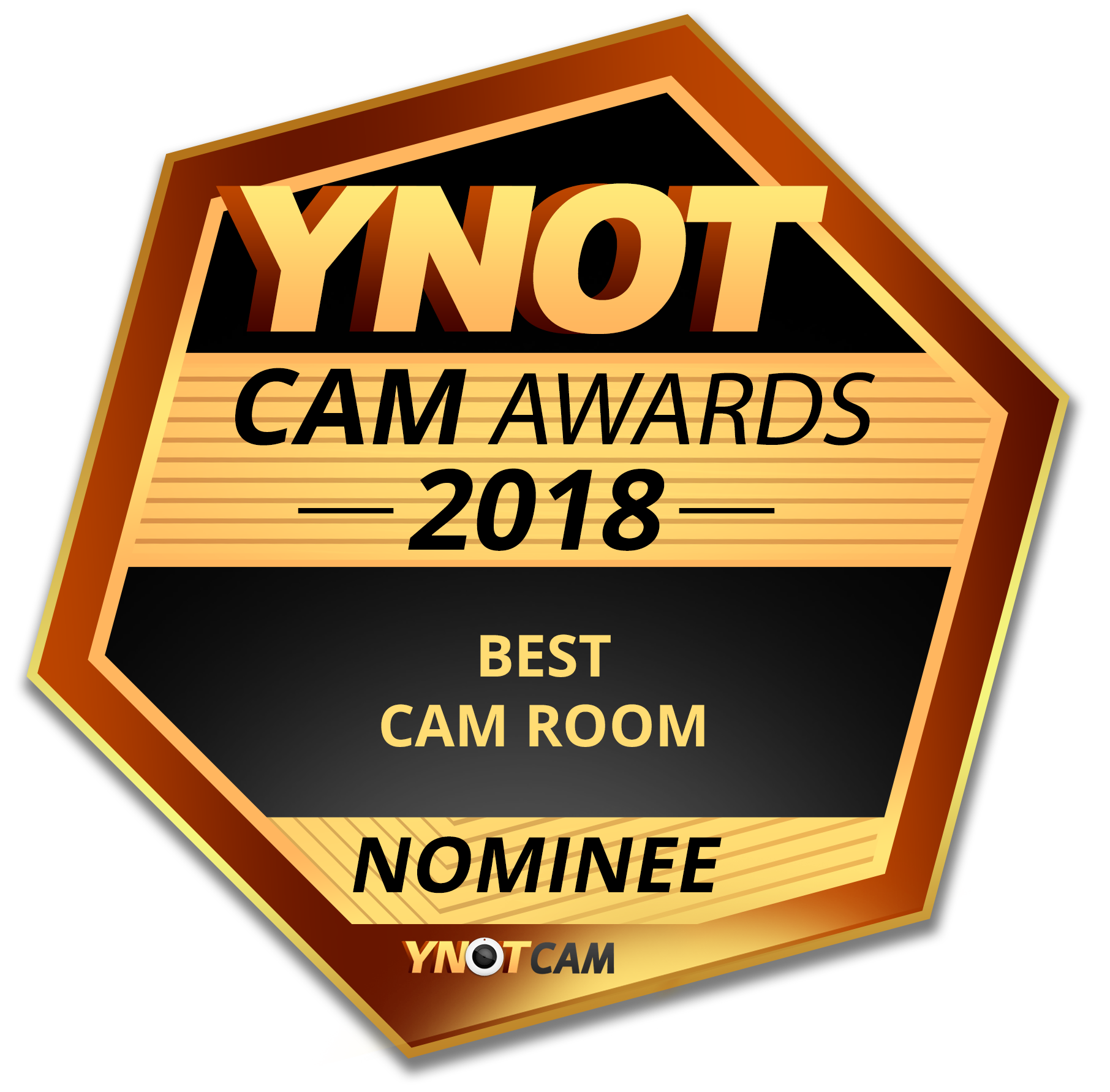 Ynot. YNOT Awards. Webcam Award. YNOT Limited. Winner Room.